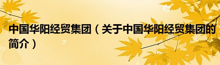 中國(guó)華陽(yáng)經(jīng)貿(mào)集團(tuán)（關(guān)于中國(guó)華陽(yáng)經(jīng)貿(mào)集團(tuán)的簡(jiǎn)介）