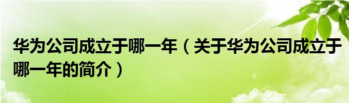 華為公司成立于哪一年（關(guān)于華為公司成立于哪一年的簡介）