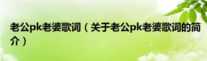 老公pk老婆歌詞（關(guān)于老公pk老婆歌詞的簡介）