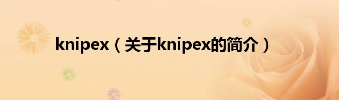 knipex（關(guān)于knipex的簡介）