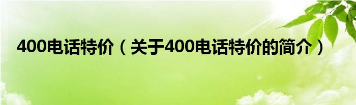 400電話特價(jià)（關(guān)于400電話特價(jià)的簡介）