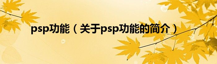 psp功能（關(guān)于psp功能的簡介）