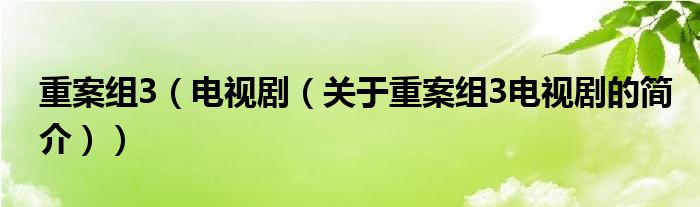 重案組3（電視?。P(guān)于重案組3電視劇的簡(jiǎn)介））