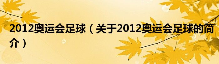 2012奧運會足球（關(guān)于2012奧運會足球的簡介）