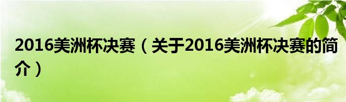 2016美洲杯決賽（關(guān)于2016美洲杯決賽的簡(jiǎn)介）