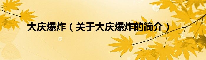 大慶爆炸（關(guān)于大慶爆炸的簡(jiǎn)介）