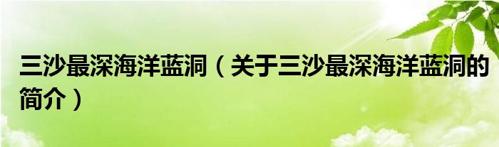 三沙最深海洋藍洞（關(guān)于三沙最深海洋藍洞的簡介）