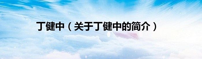 丁健中（關(guān)于丁健中的簡(jiǎn)介）