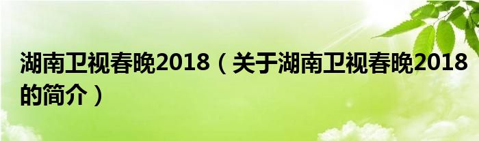 湖南衛(wèi)視春晚2018（關(guān)于湖南衛(wèi)視春晚2018的簡介）