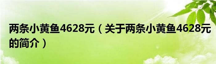 兩條小黃魚4628元（關(guān)于兩條小黃魚4628元的簡介）