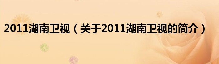 2011湖南衛(wèi)視（關于2011湖南衛(wèi)視的簡介）