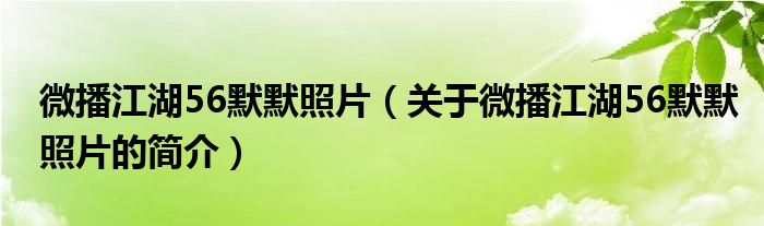 微播江湖56默默照片（關(guān)于微播江湖56默默照片的簡介）