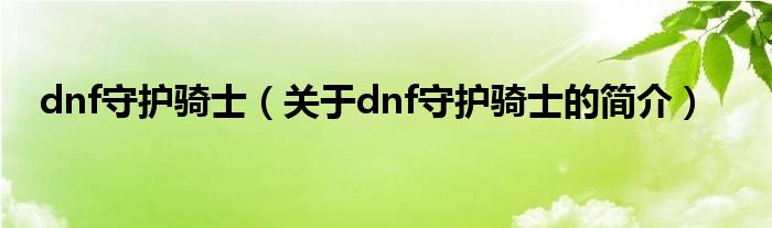 dnf守護騎士（關(guān)于dnf守護騎士的簡介）