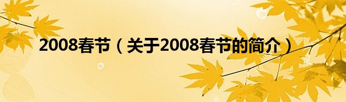 2008春節(jié)（關(guān)于2008春節(jié)的簡介）