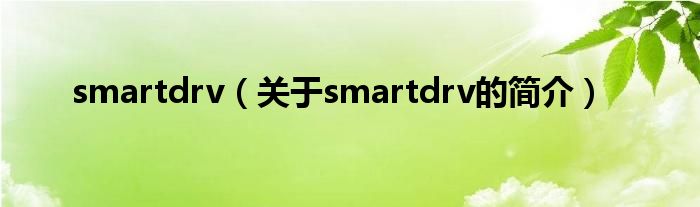 smartdrv（關于smartdrv的簡介）