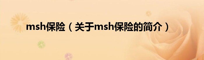 msh保險(xiǎn)（關(guān)于msh保險(xiǎn)的簡(jiǎn)介）