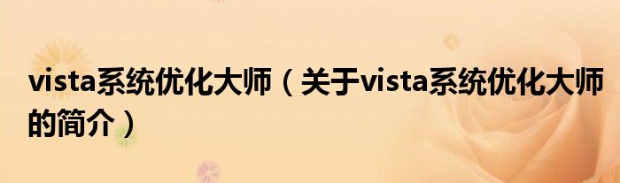 vista系統(tǒng)優(yōu)化大師（關(guān)于vista系統(tǒng)優(yōu)化大師的簡(jiǎn)介）