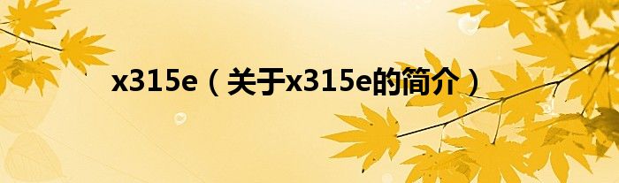 x315e（關(guān)于x315e的簡(jiǎn)介）