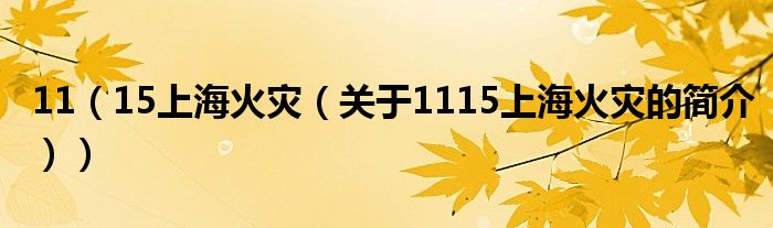 11（15上?；馂?zāi)（關(guān)于1115上海火災(zāi)的簡(jiǎn)介））