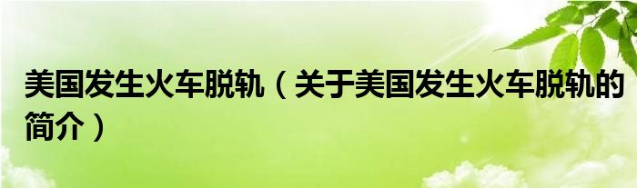 美國發(fā)生火車脫軌（關于美國發(fā)生火車脫軌的簡介）