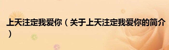 上天注定我愛你（關(guān)于上天注定我愛你的簡(jiǎn)介）