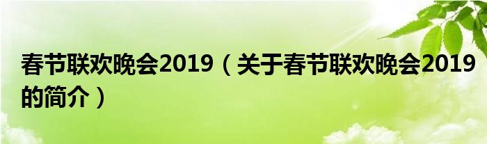 春節(jié)聯(lián)歡晚會(huì)2019（關(guān)于春節(jié)聯(lián)歡晚會(huì)2019的簡(jiǎn)介）