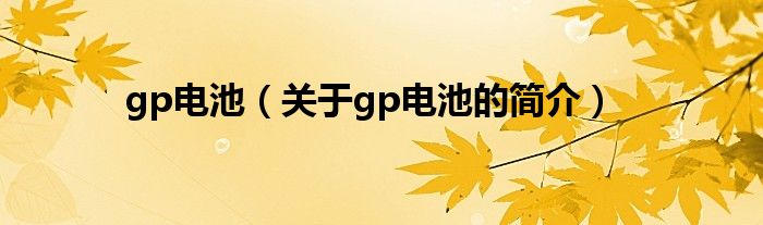 gp電池（關(guān)于gp電池的簡(jiǎn)介）