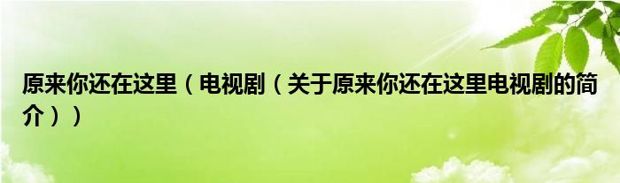 原來(lái)你還在這里（電視?。P(guān)于原來(lái)你還在這里電視劇的簡(jiǎn)介））