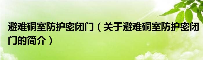 避難硐室防護(hù)密閉門（關(guān)于避難硐室防護(hù)密閉門的簡(jiǎn)介）