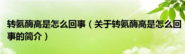 轉氨酶高是怎么回事（關于轉氨酶高是怎么回事的簡介）