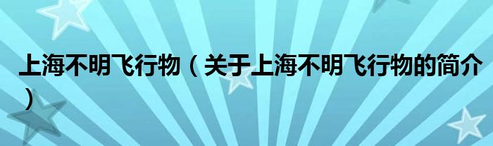 上海不明飛行物（關于上海不明飛行物的簡介）