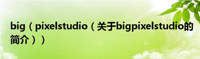 big（pixelstudio（關(guān)于bigpixelstudio的簡介））