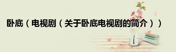 臥底（電視?。P(guān)于臥底電視劇的簡(jiǎn)介））