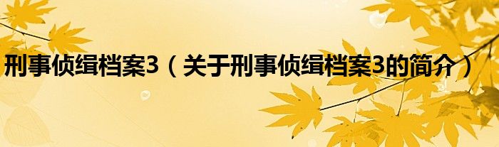 刑事偵緝檔案3（關(guān)于刑事偵緝檔案3的簡介）