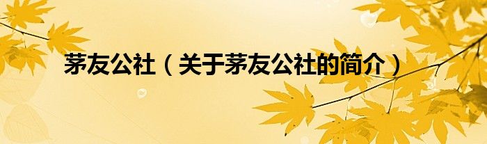 茅友公社（關(guān)于茅友公社的簡(jiǎn)介）