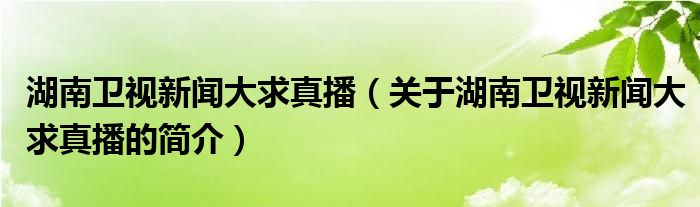 湖南衛(wèi)視新聞大求真播（關于湖南衛(wèi)視新聞大求真播的簡介）