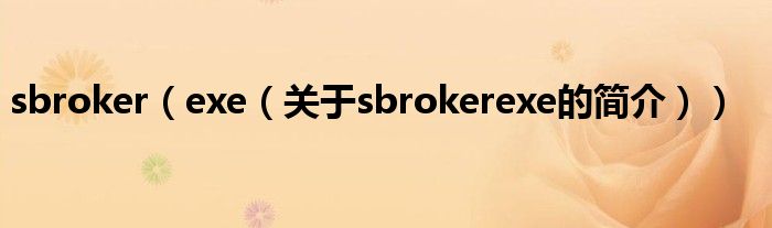 sbroker（exe（關(guān)于sbrokerexe的簡介））