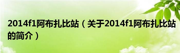 2014f1阿布扎比站（關(guān)于2014f1阿布扎比站的簡介）