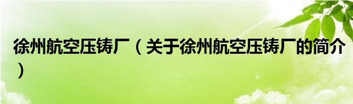 徐州航空壓鑄廠（關(guān)于徐州航空壓鑄廠的簡(jiǎn)介）