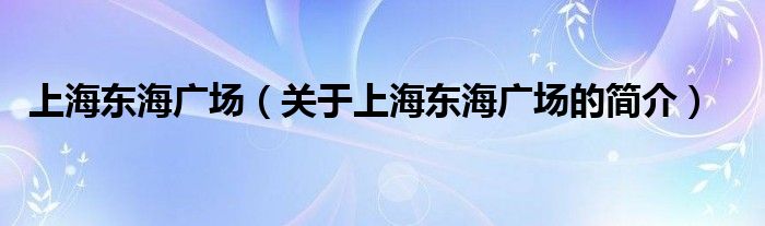 上海東海廣場（關(guān)于上海東海廣場的簡介）