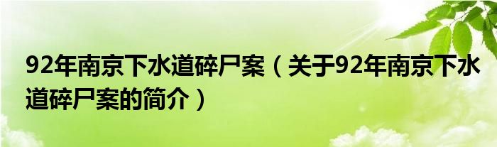 92年南京下水道碎尸案（關(guān)于92年南京下水道碎尸案的簡介）