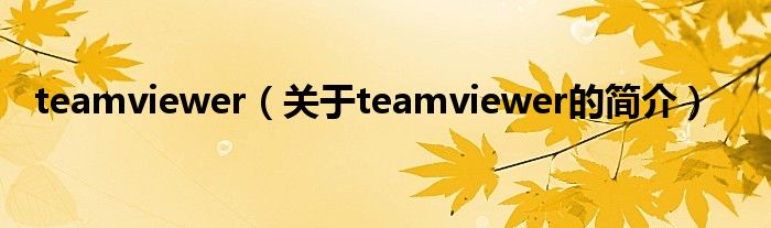 teamviewer（關(guān)于teamviewer的簡介）