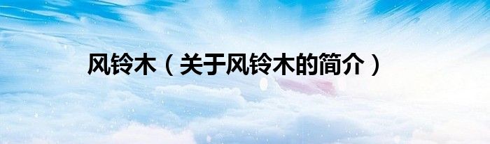 風(fēng)鈴木（關(guān)于風(fēng)鈴木的簡(jiǎn)介）