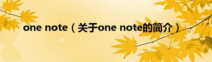 one note（關(guān)于one note的簡介）