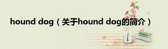 hound dog（關于hound dog的簡介）