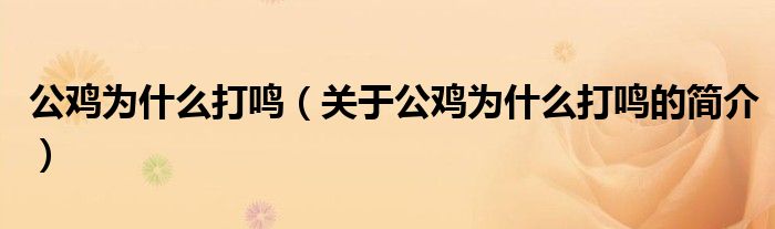 公雞為什么打鳴（關(guān)于公雞為什么打鳴的簡(jiǎn)介）