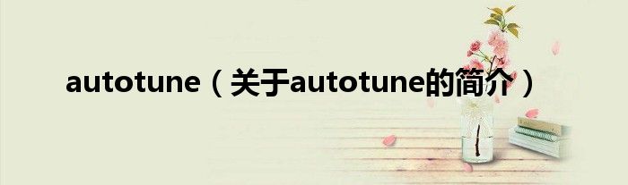 autotune（關(guān)于autotune的簡(jiǎn)介）