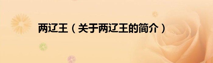 兩遼王（關(guān)于兩遼王的簡(jiǎn)介）