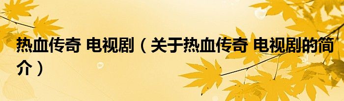 熱血傳奇 電視?。P(guān)于熱血傳奇 電視劇的簡介）