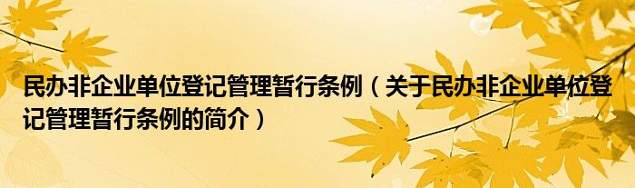 民辦非企業(yè)單位登記管理暫行條例（關(guān)于民辦非企業(yè)單位登記管理暫行條例的簡介）